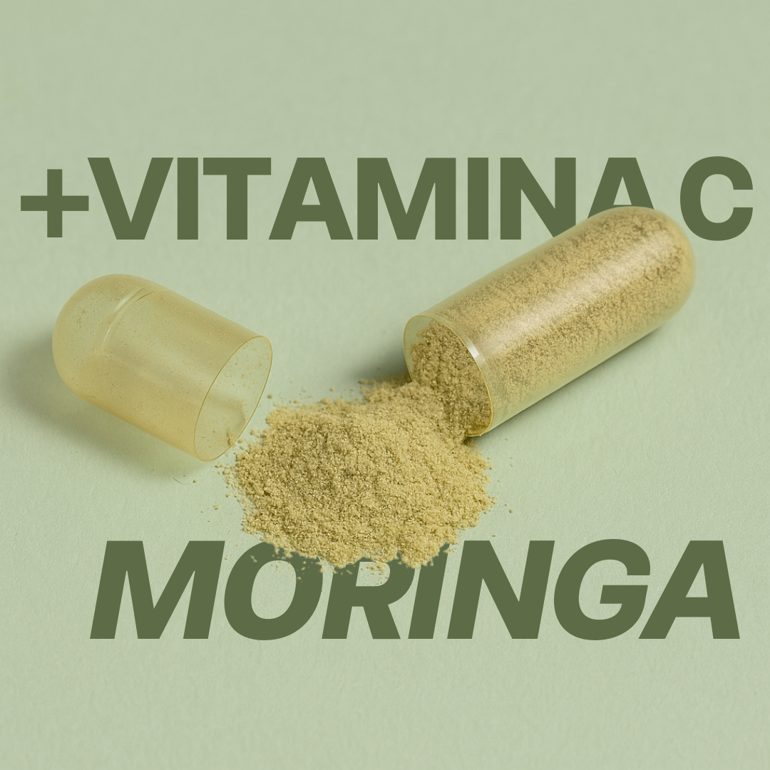 Moringa en Capsulas 100% Pura