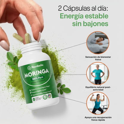 Moringa en Capsulas 100% Pura